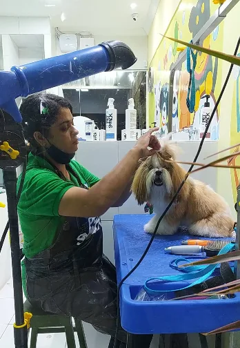 Banho e tosa na ForPets Pet Shop