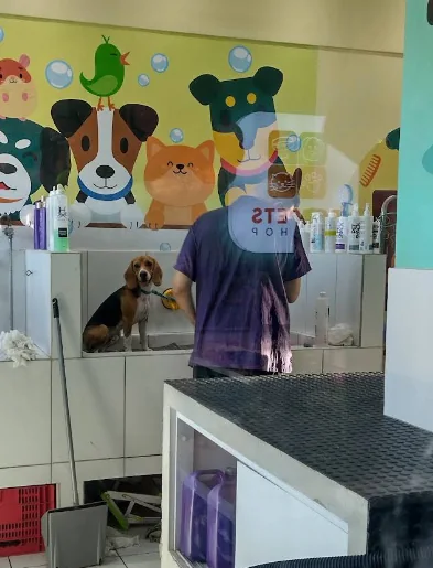 Espaço de banho e cuidados da ForPets