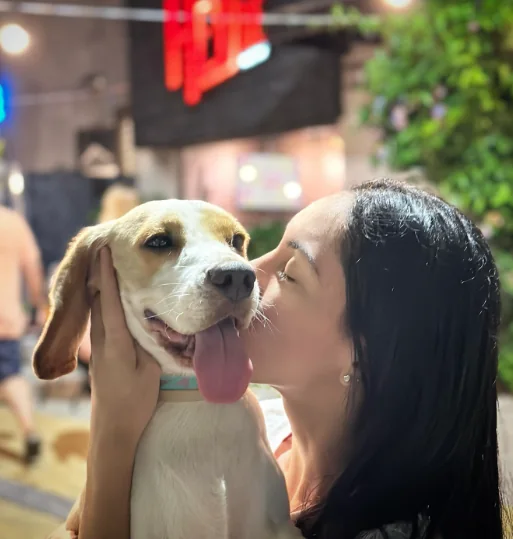 Clientes com três cães husky na ForPets