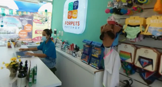 Recepção e interior da ForPets